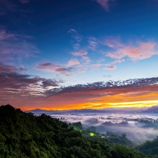 woods, The Hills, east, sun, Fog, Mountains