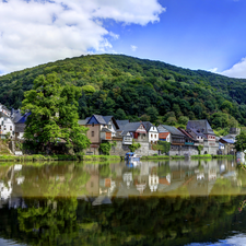 woods, River, Houses