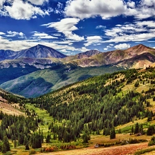 woods, clouds, Mountains