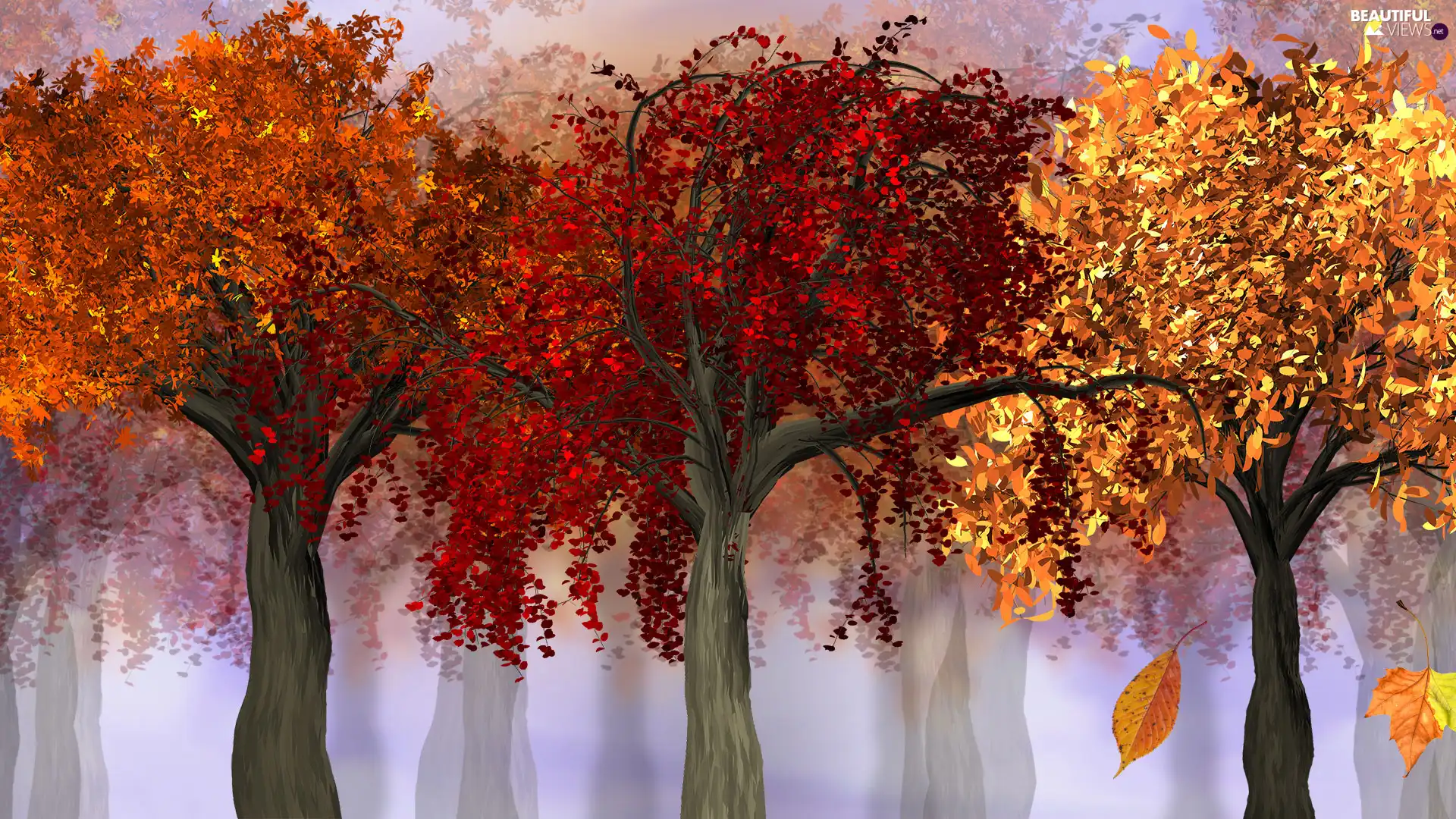 viewes, 2D, color, trees, autumn