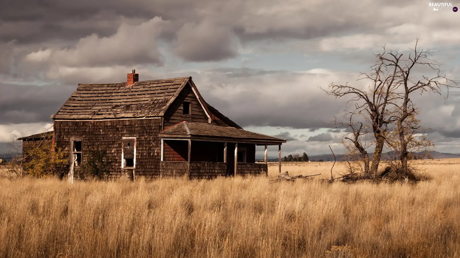 abandoned, house, trees, viewes, clouds