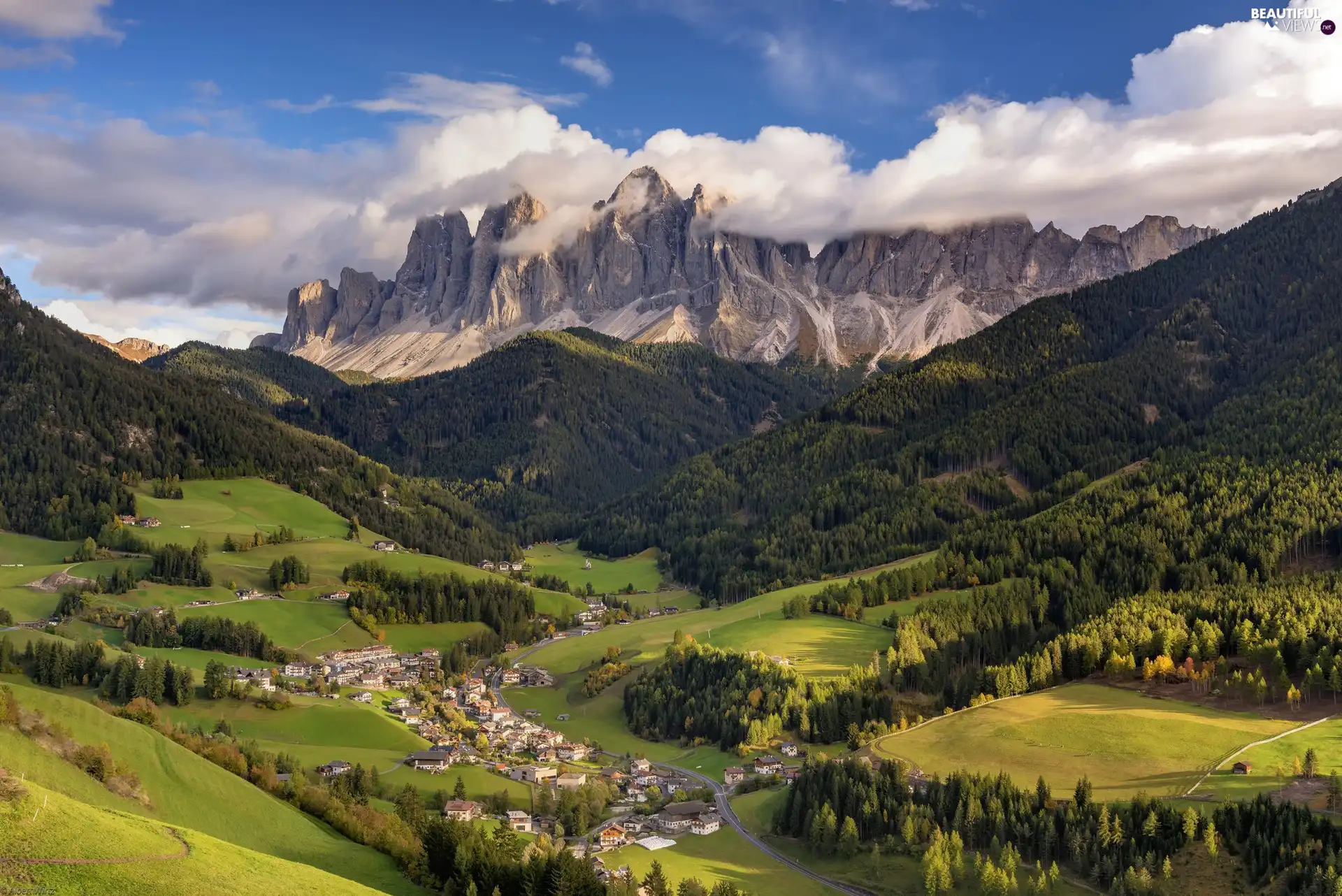 trees, Trentino-Alto Adige, Dolomites Mountains, Bolzano-Alto Adige Province, Italy, viewes, Valley