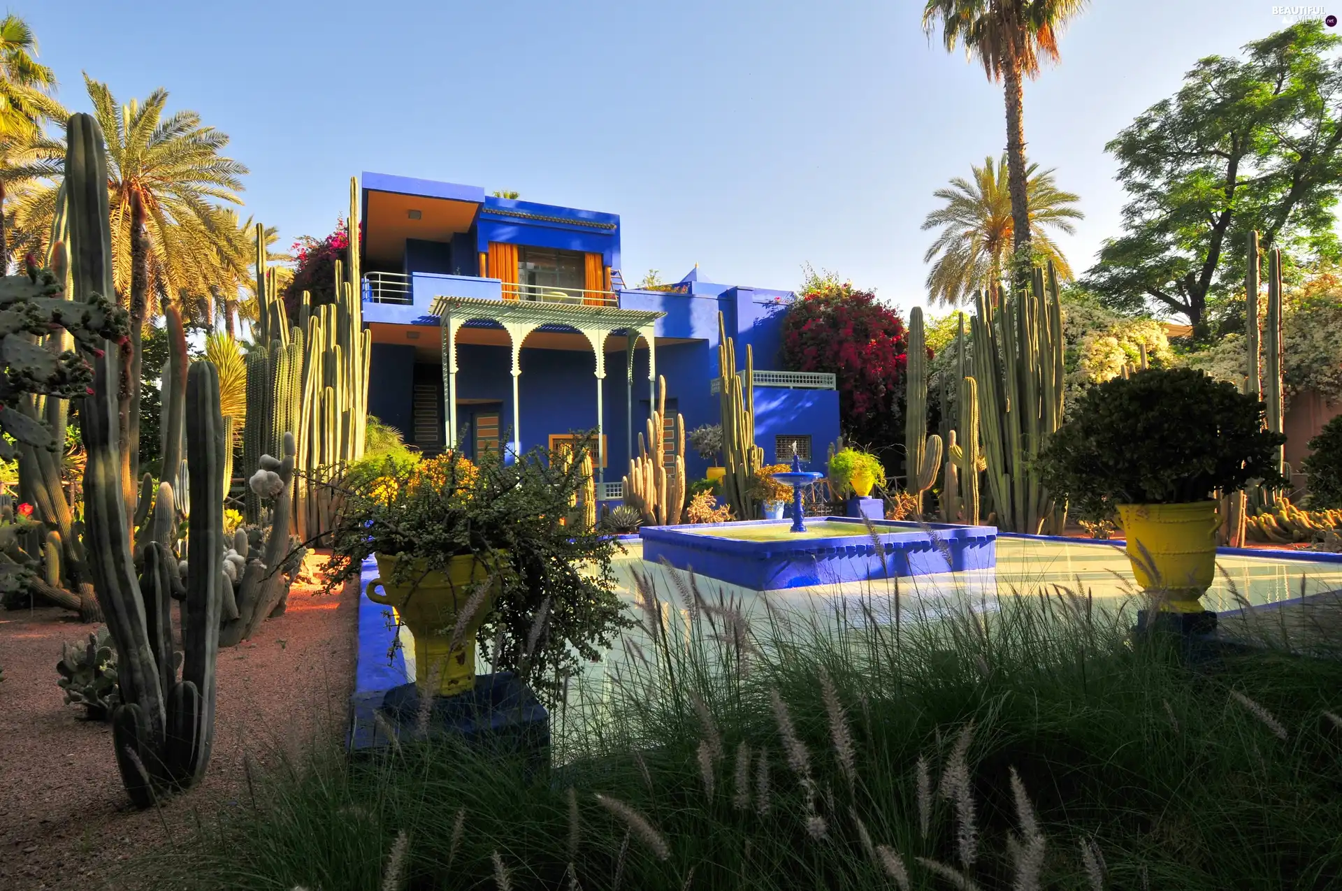 Cactus, villa, Africa, Maroko, Garden, fountain