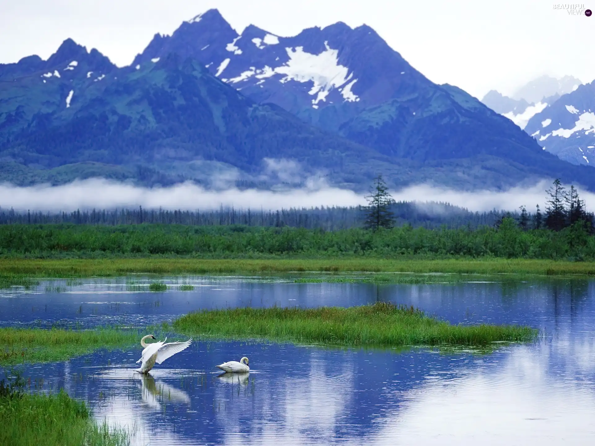 Mountains, Swan, Alaska, lake