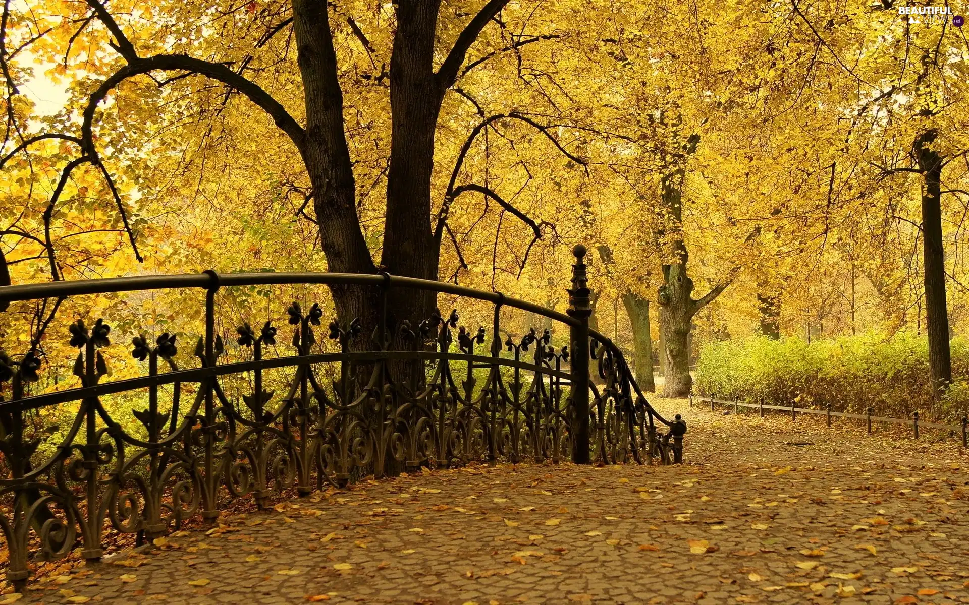 Park, bridges, alley, Autumn