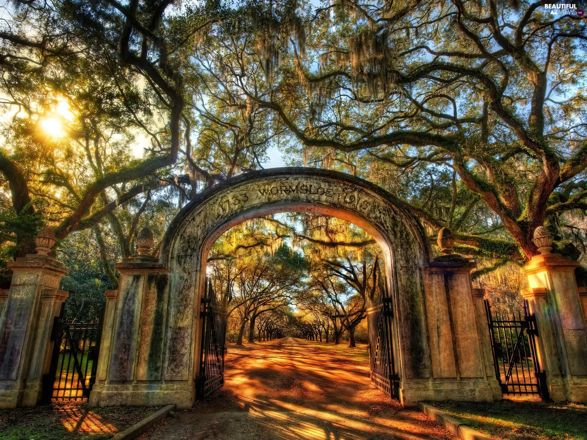 trees, Park, Gate, light breaking through sky, viewes, alley