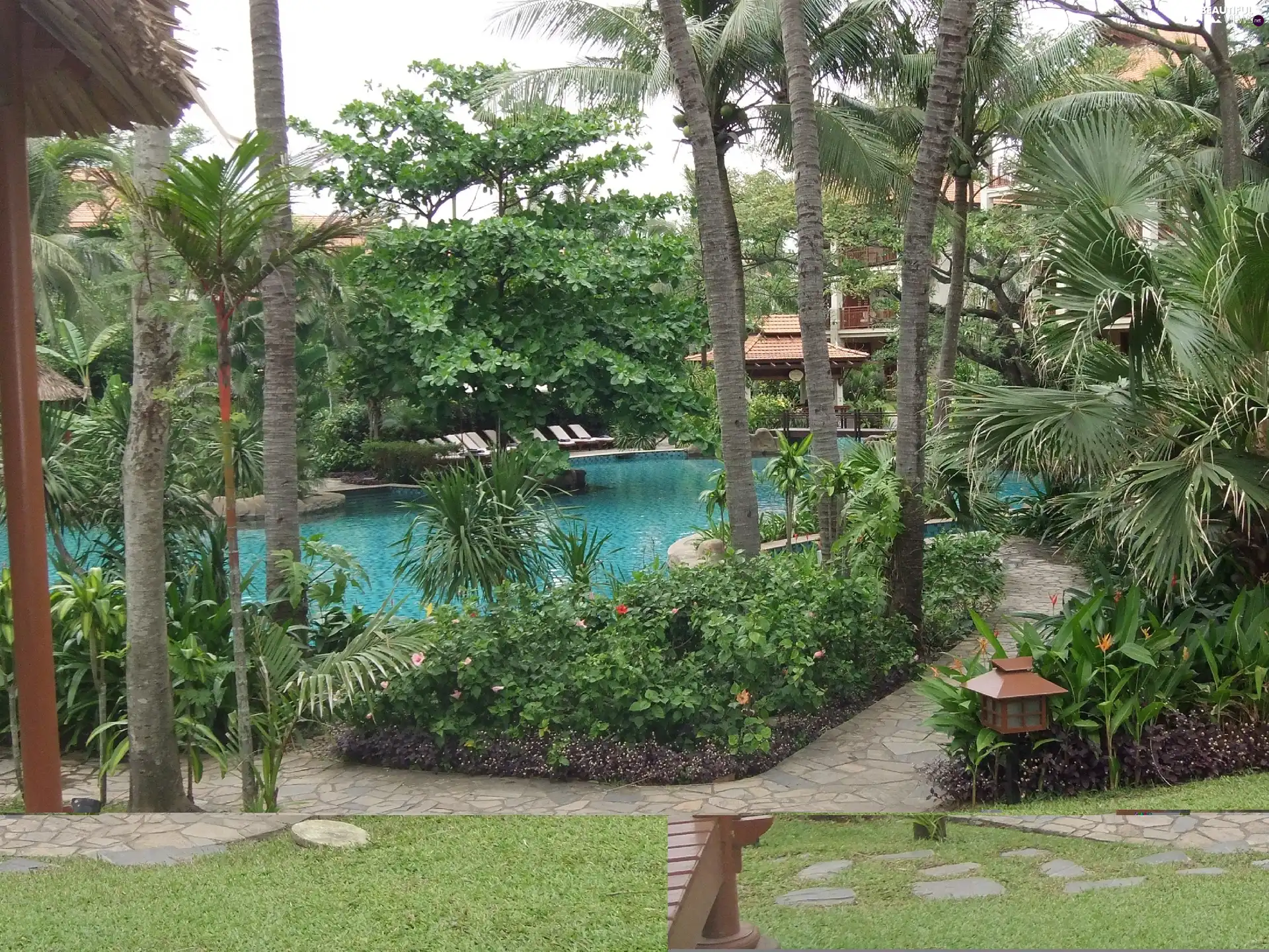 Garden, Pool, Alleys, tropical