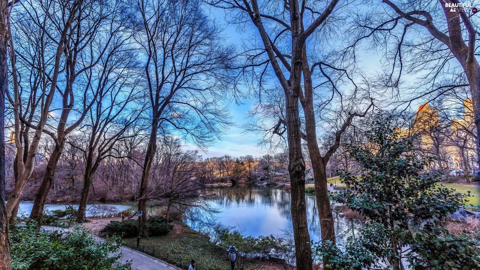 Park, bridge, Alleys, River