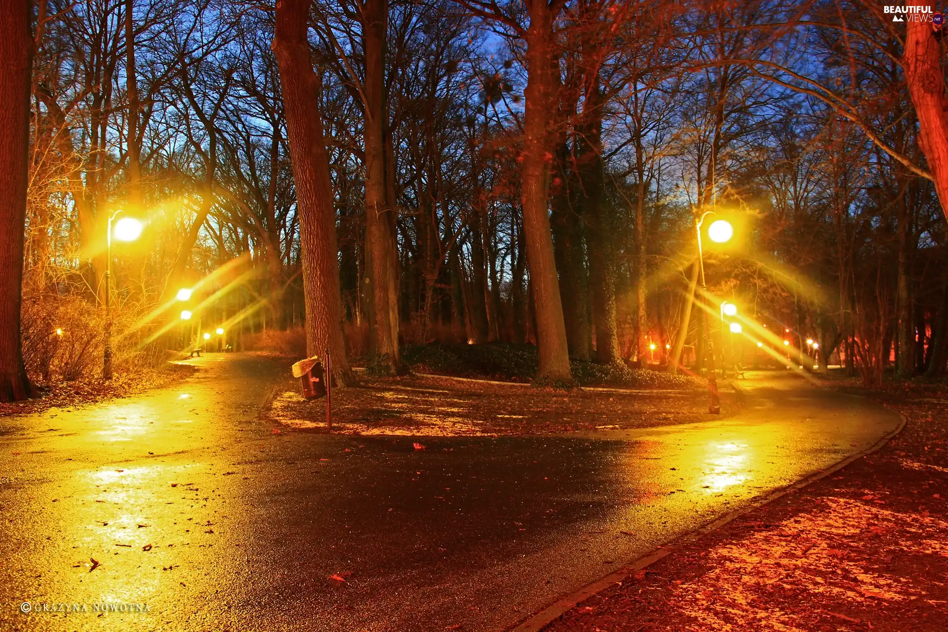 Park, lanterns, Alleys, evening