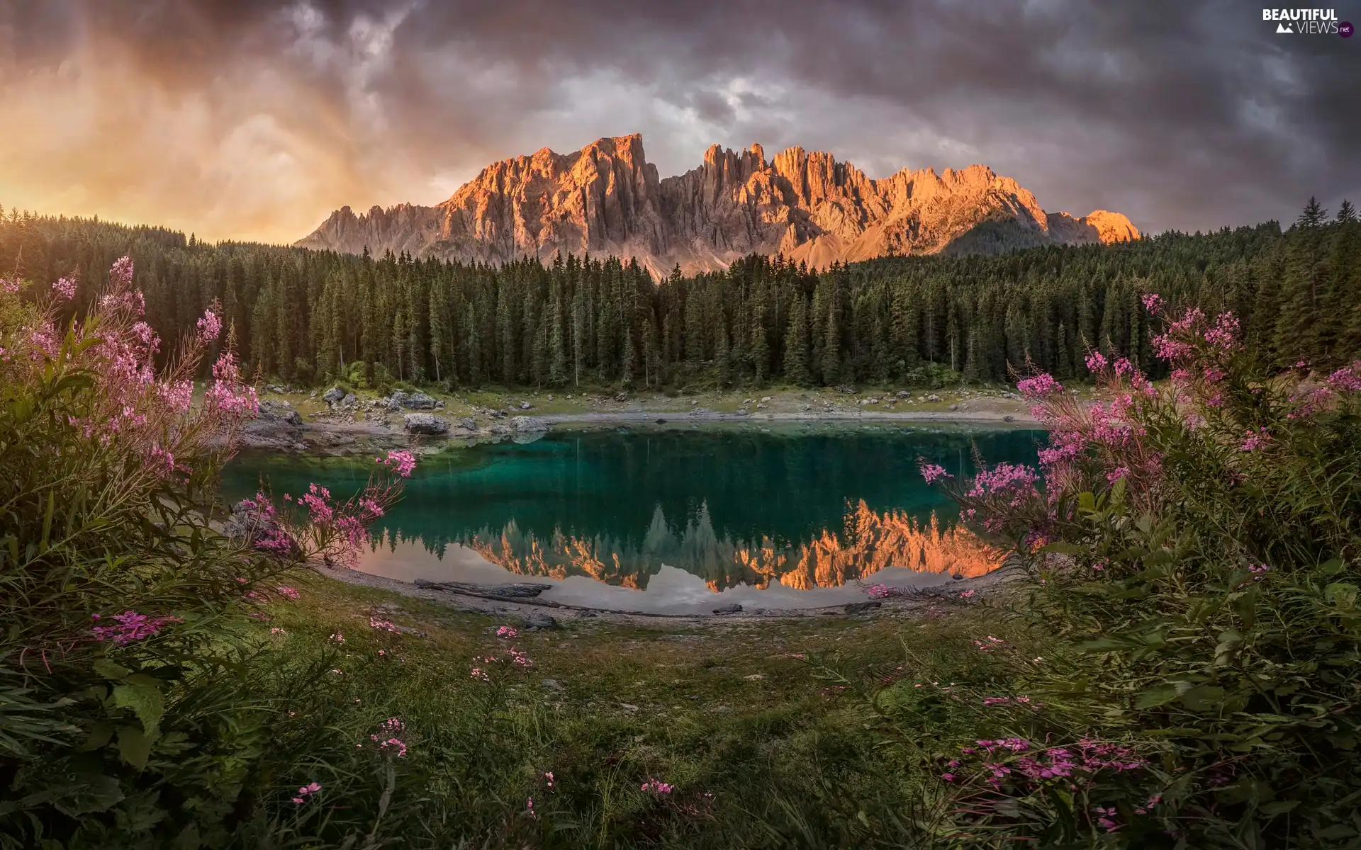 Alps, Lago di Carezza, South Tyrol, Mountains, lake, Dolomites, Italy