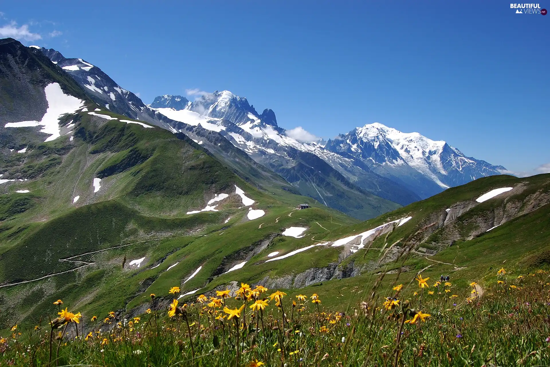 Alps, Meadow, Mountains