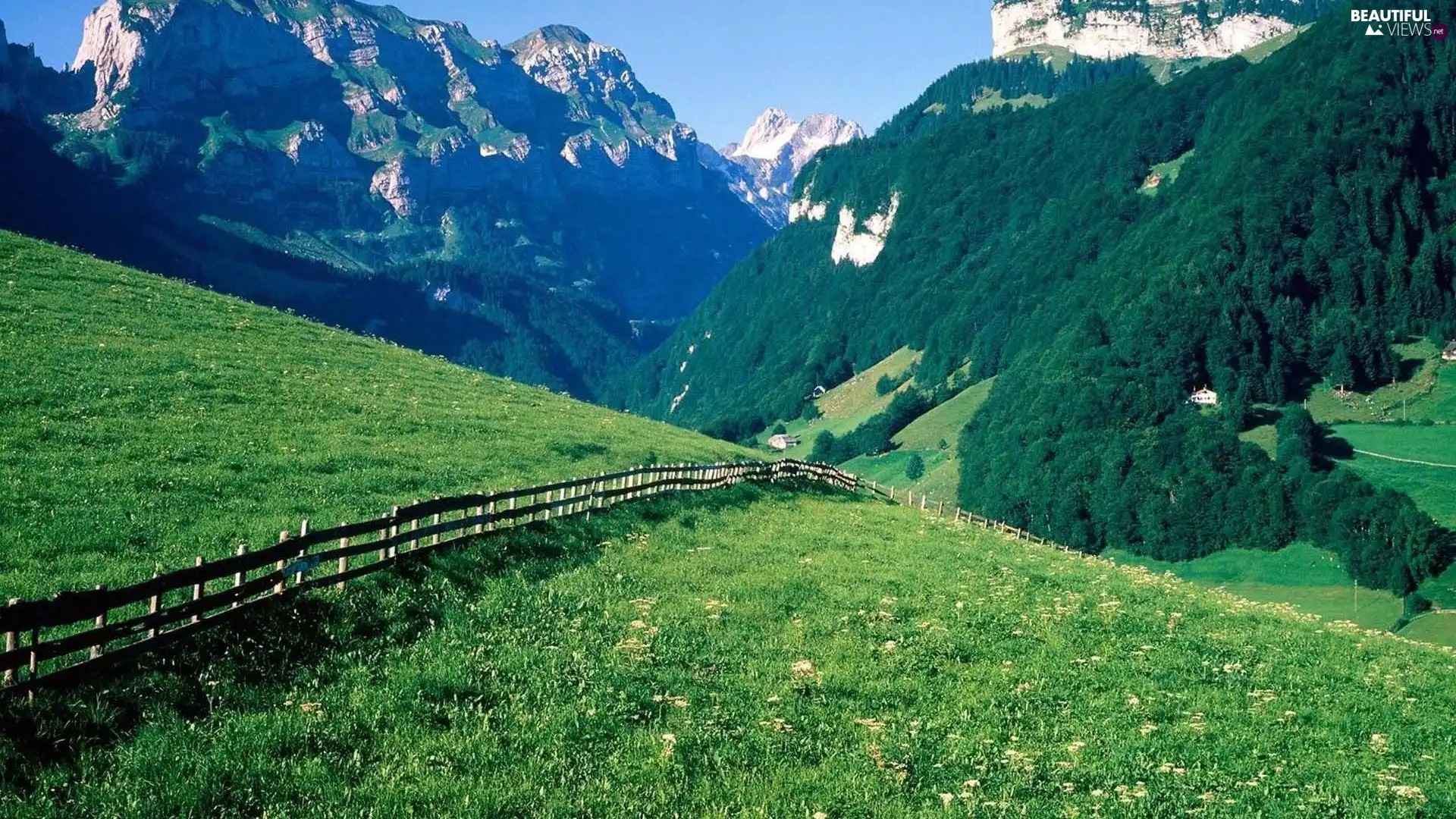 Meadow, Mountains, Alps, Switzerland, fence, forest