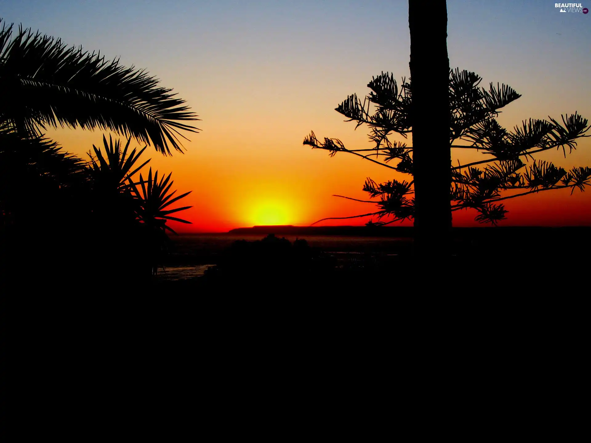 Great Sunsets, viewes, Andalusia, trees