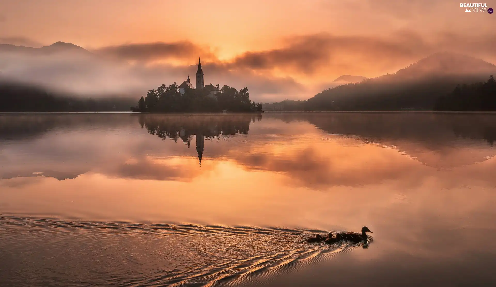 Blejski Otok Island, Church of the Annunciation of the Virgin Mary, reflection, Julian Alps Mountains, ducks, Lake Bled, Slovenia, Fog