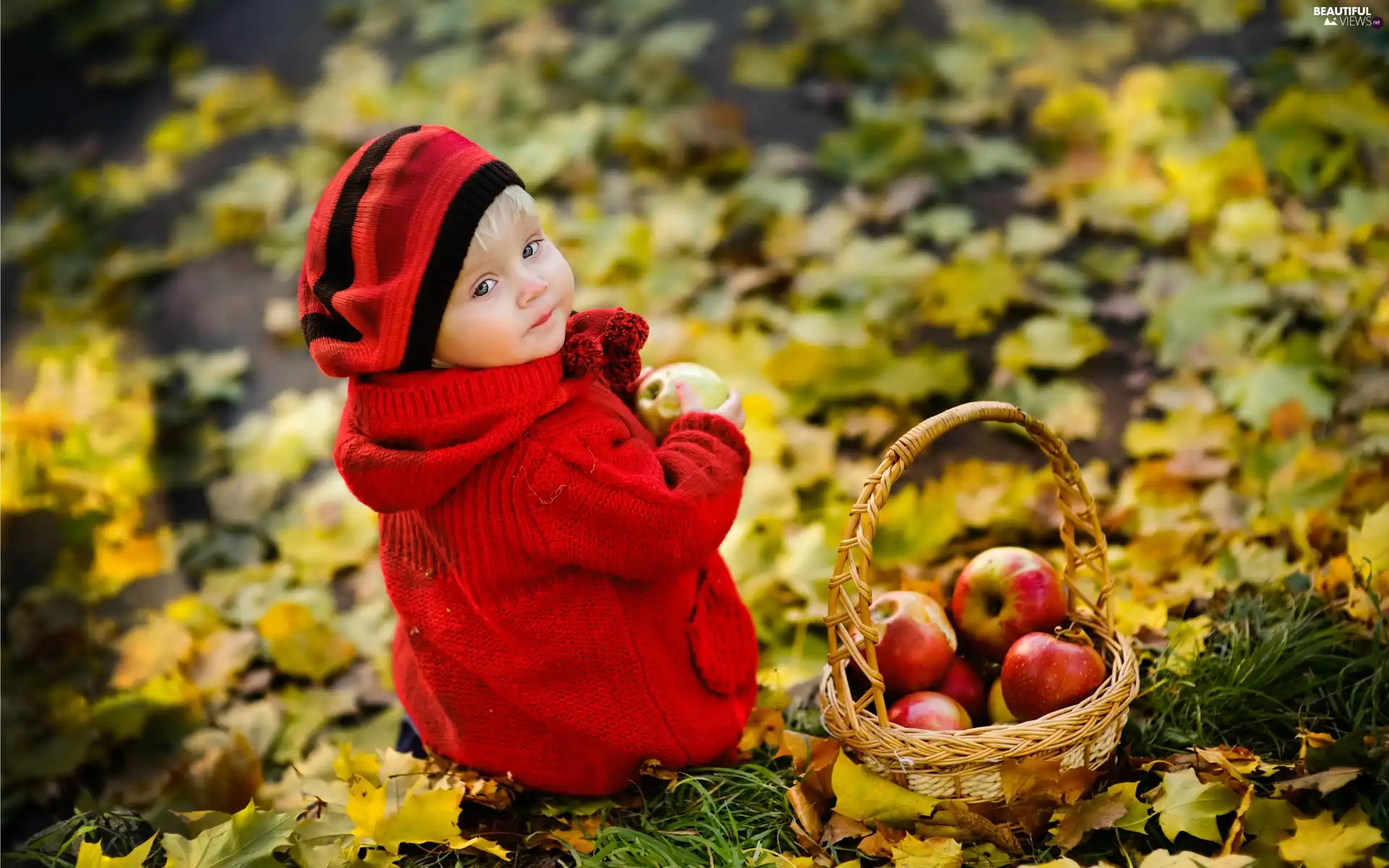 Leaf, girl, apples, autumn, basket, Meadow