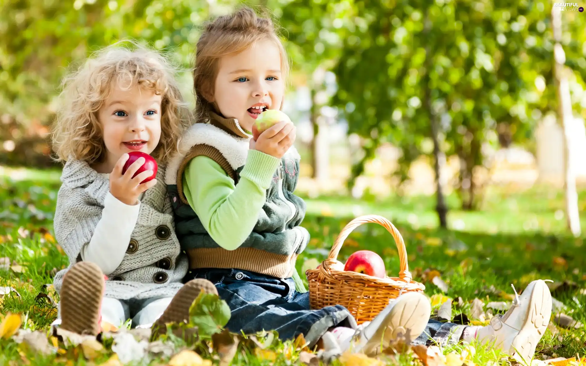 Kids, basket, apples, Meadow