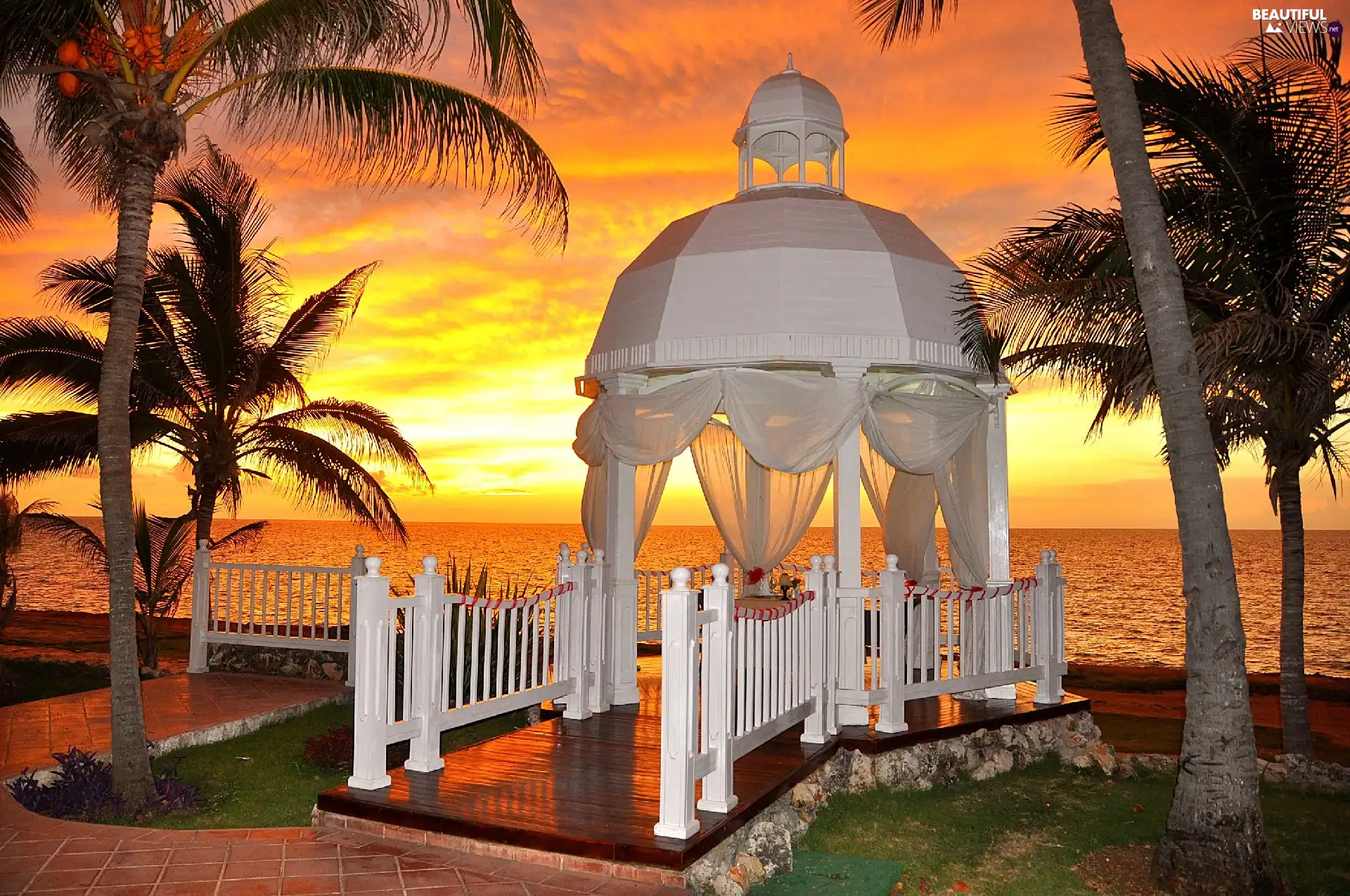 arbour, sea, Palms