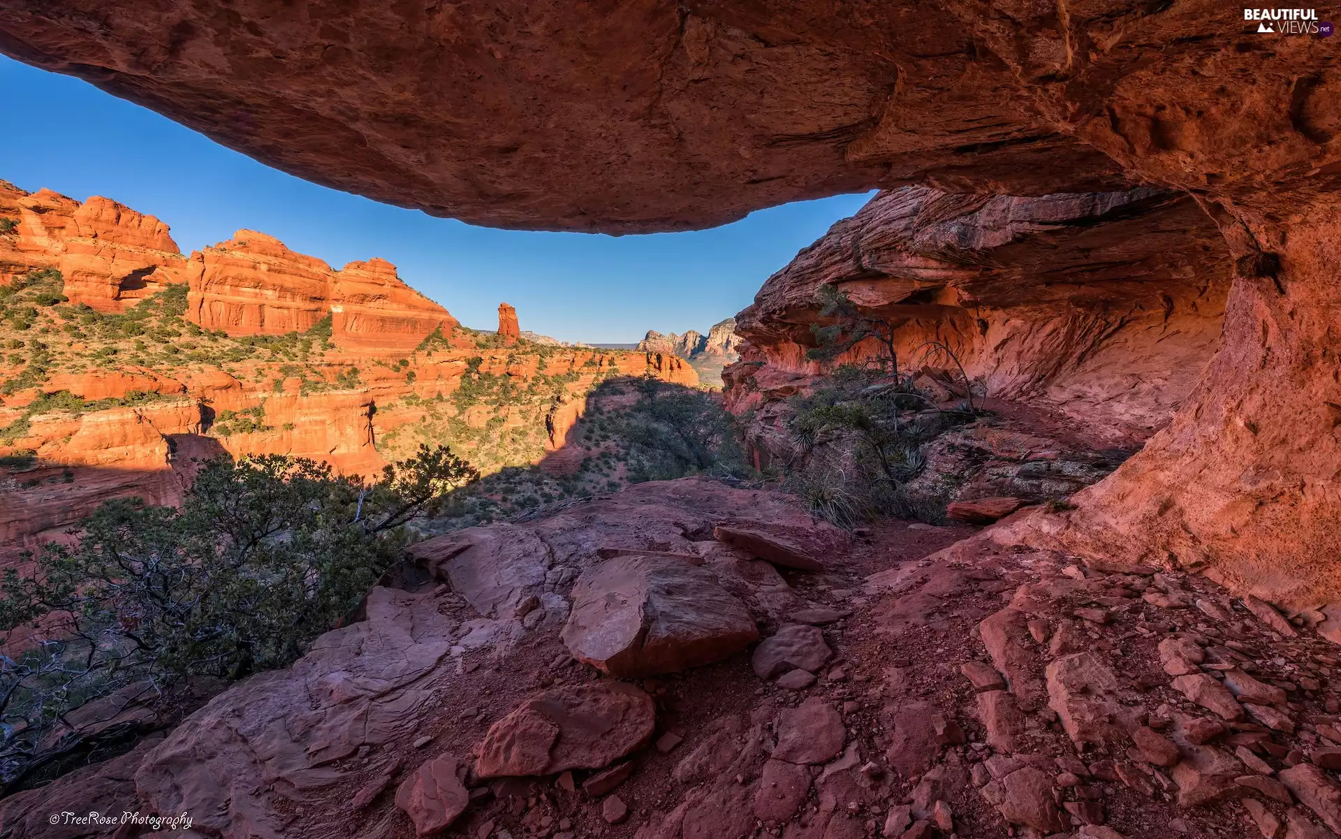 Sedona, The United States, Red, Bush, rocks, Arizona