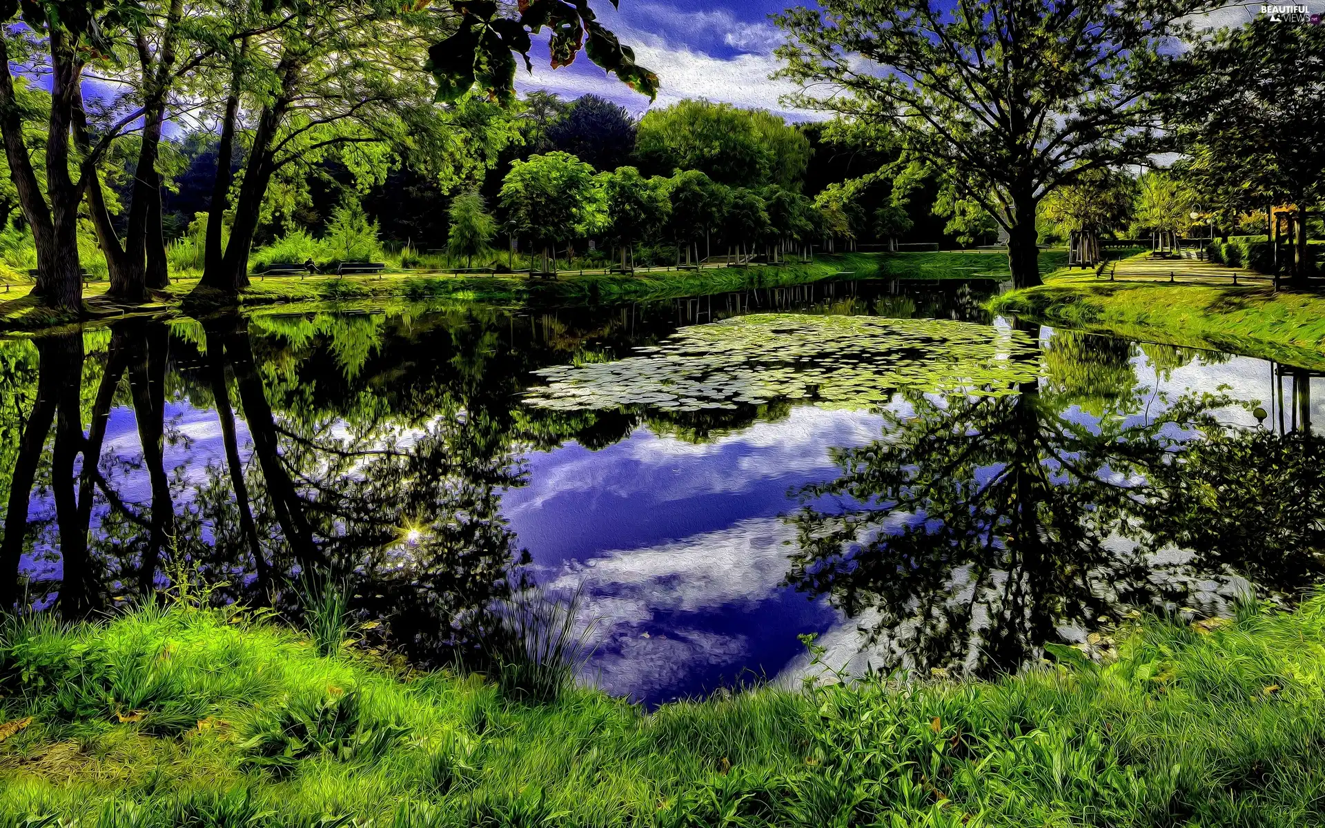 Park, green, Art, Pond - car