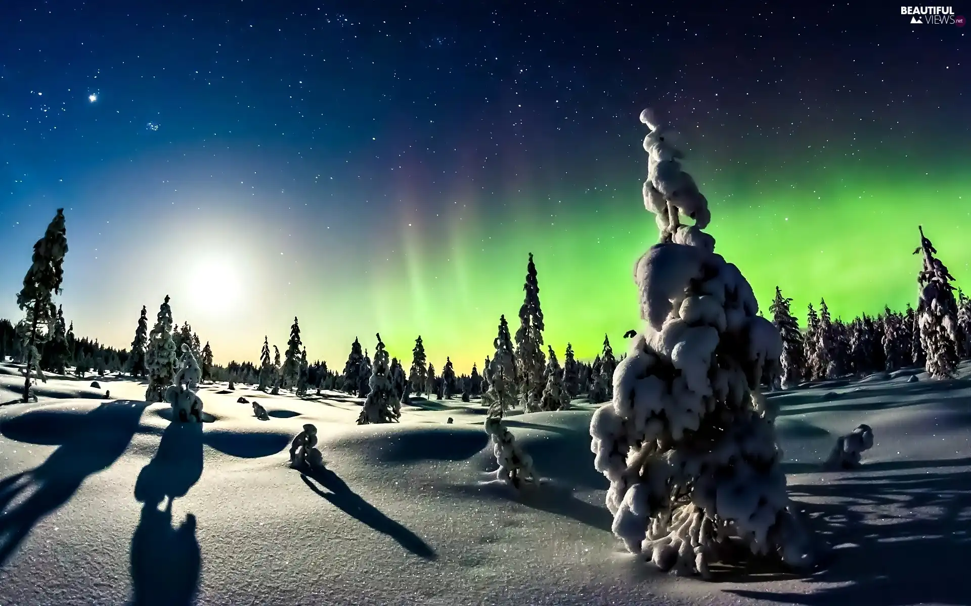 aurora polaris, winter, viewes, star, trees, snow