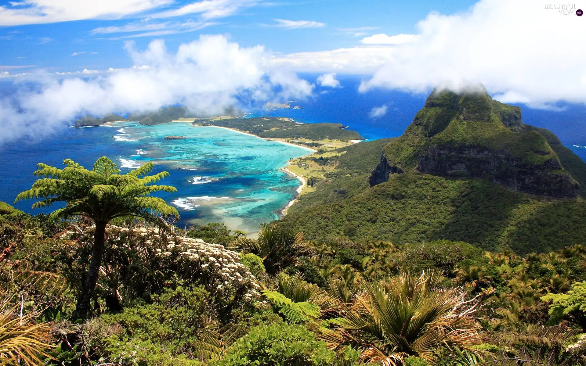 Lord Howe, Volcanic, Australia, Island