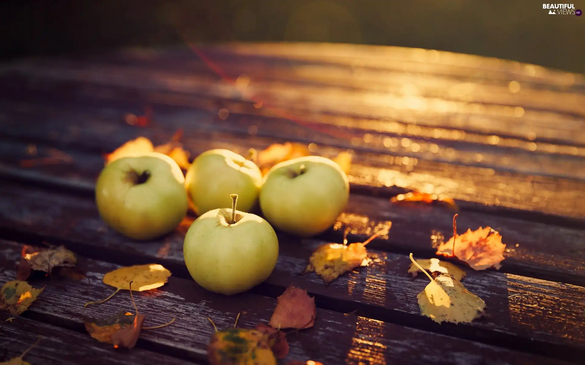 apples, Bench, autumn, Leaf