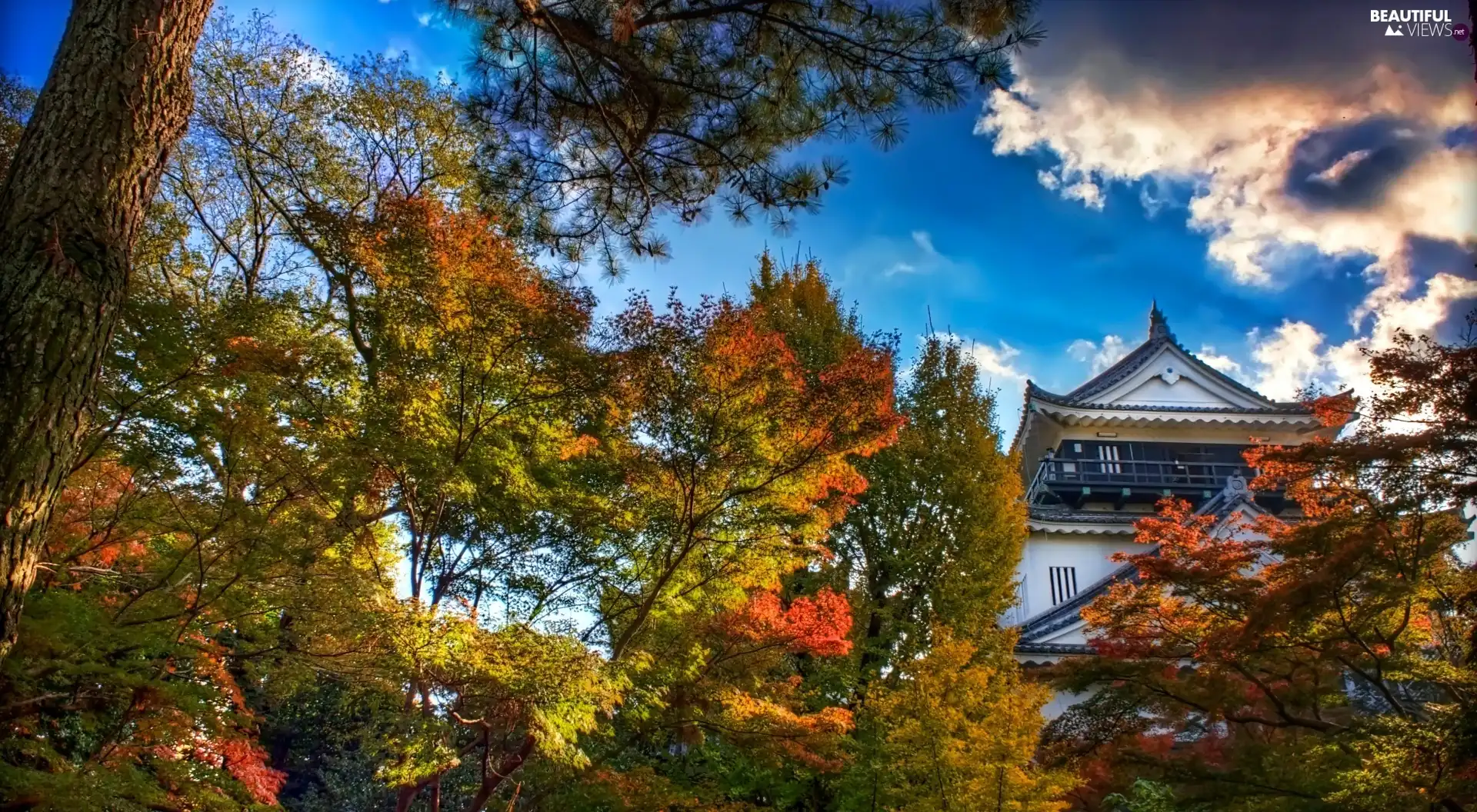 Japan, big Castle, autumn