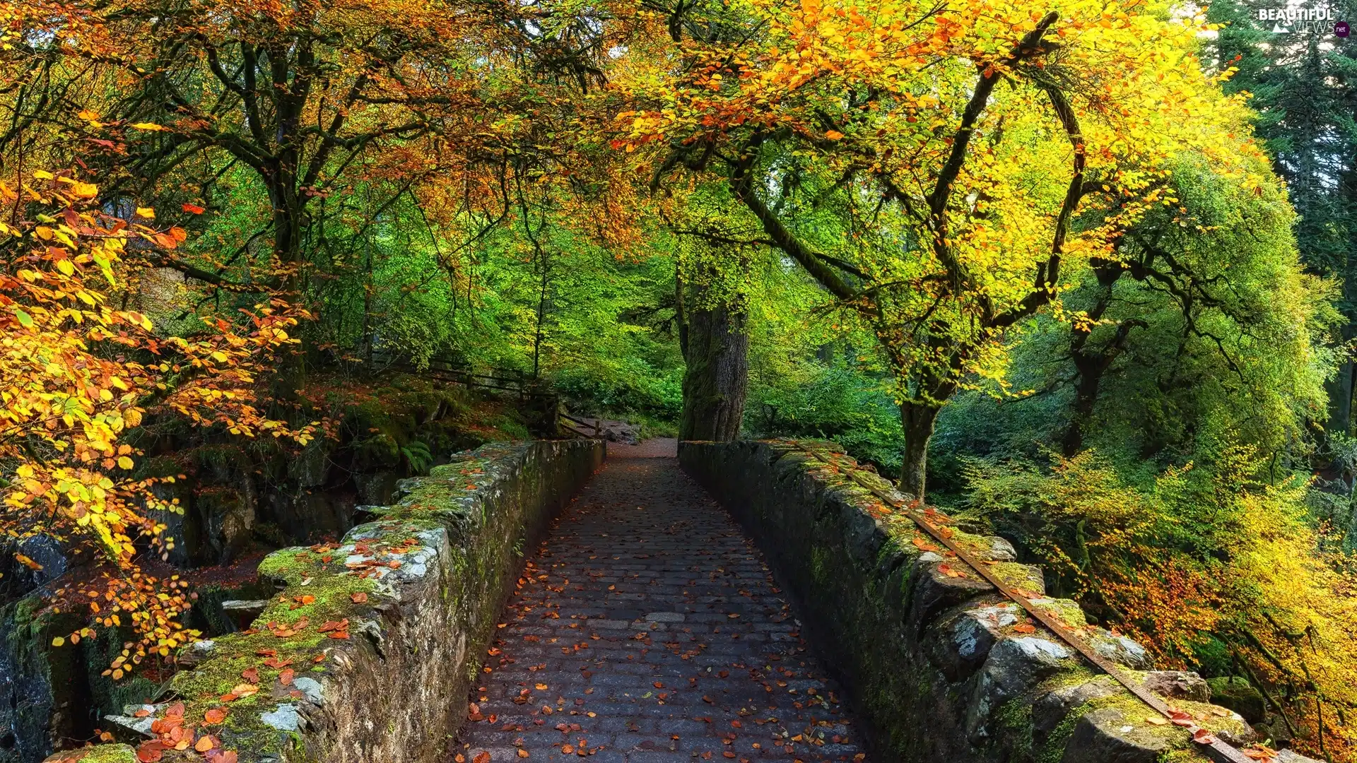 trees, stone, Park, autumn, viewes, bridge