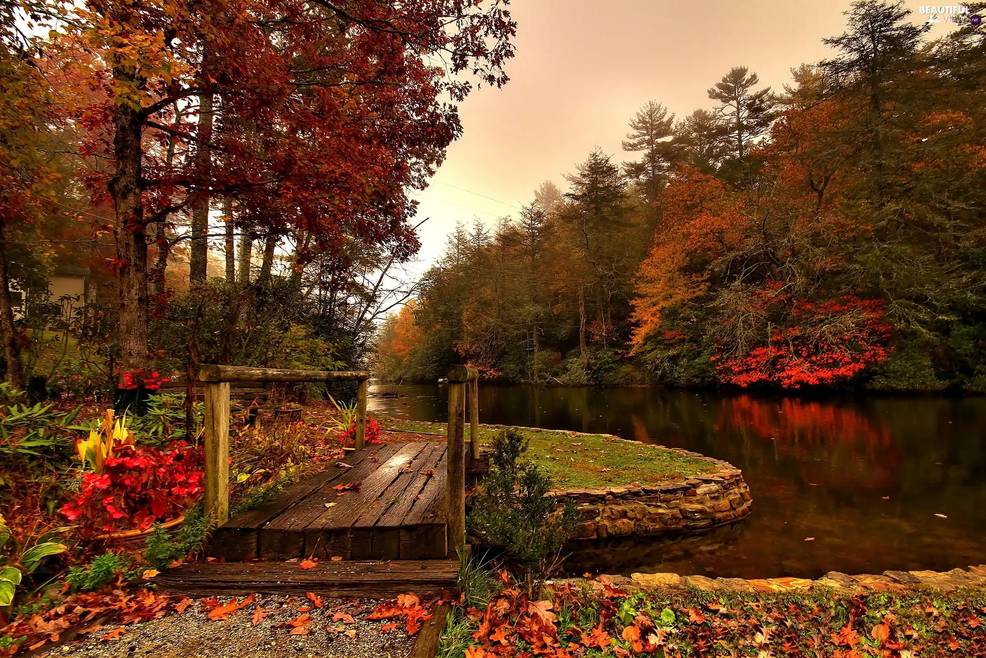 bridges, forest, autumn, River