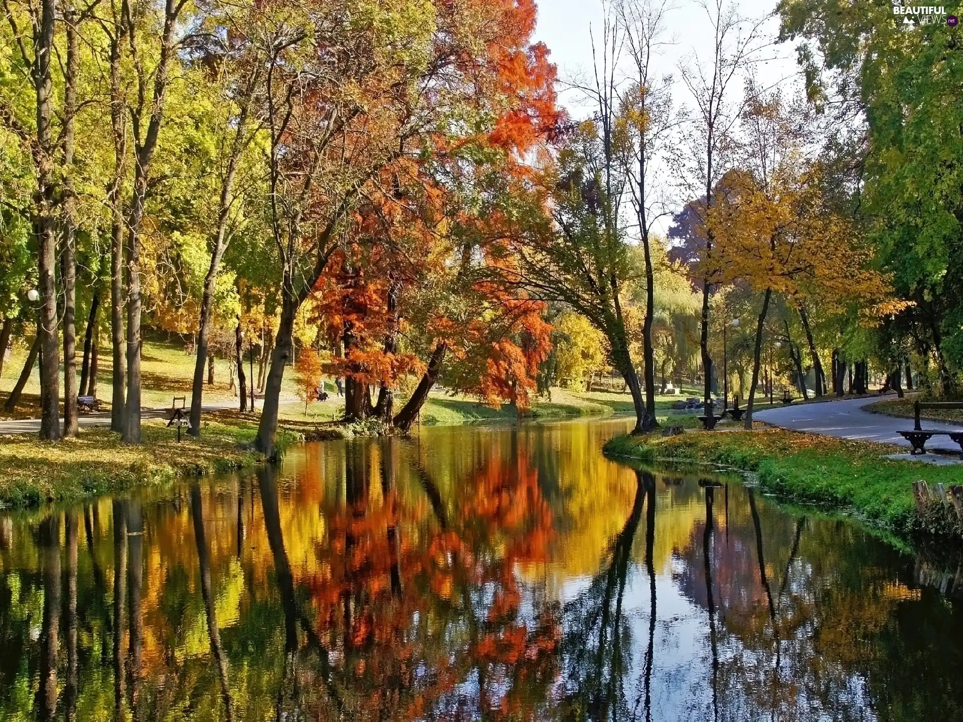 autumn, Park, brook