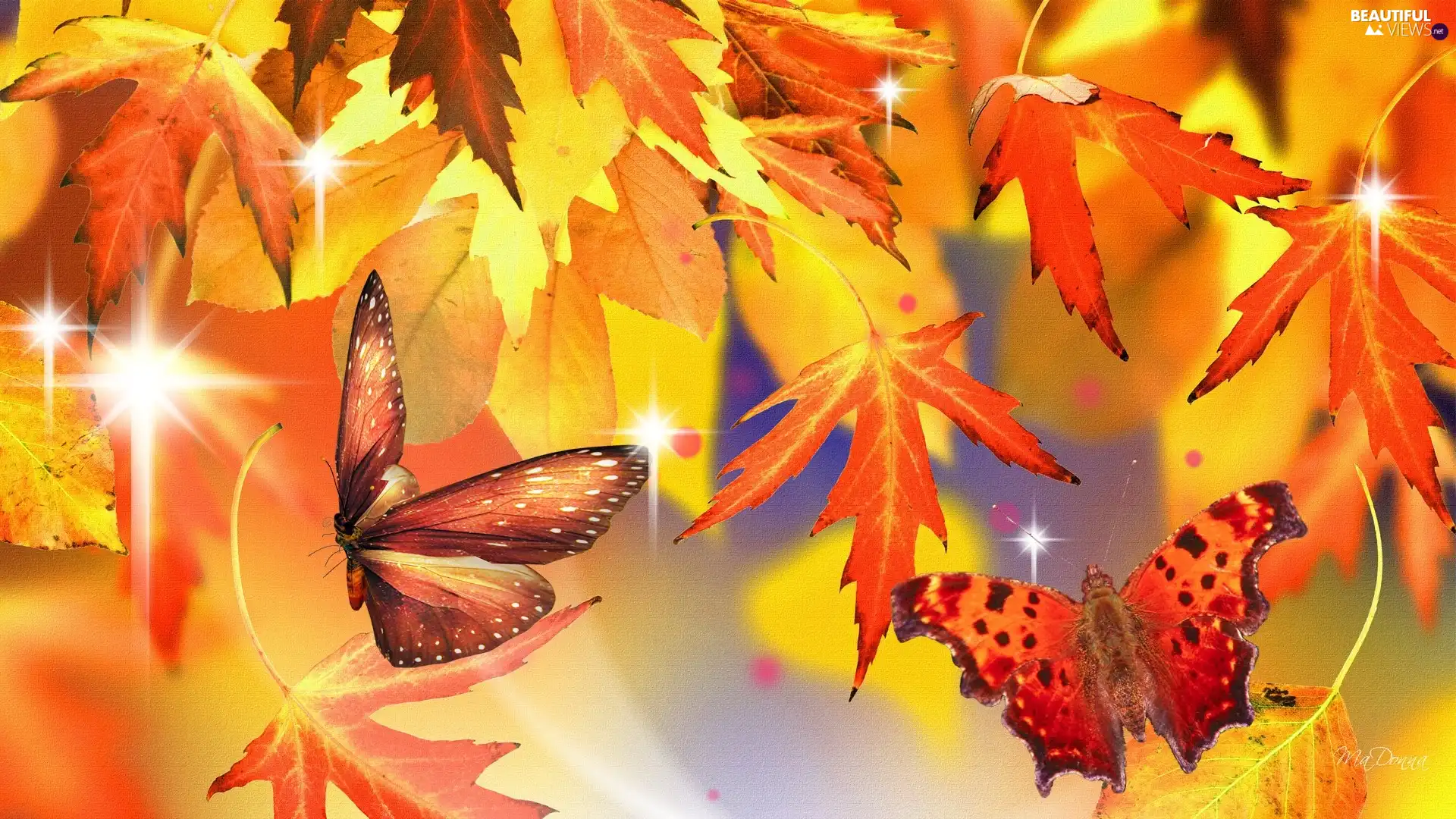 autumn, butterflies, Yellow, Leaf, red