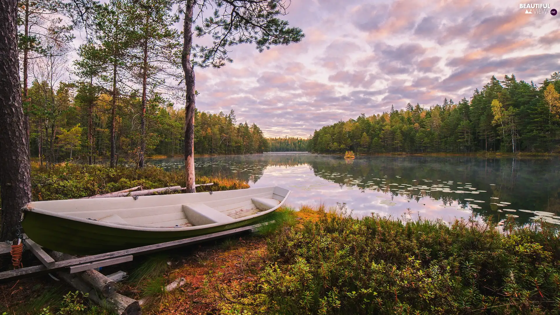 lake, Boat, viewes, autumn, trees, coast