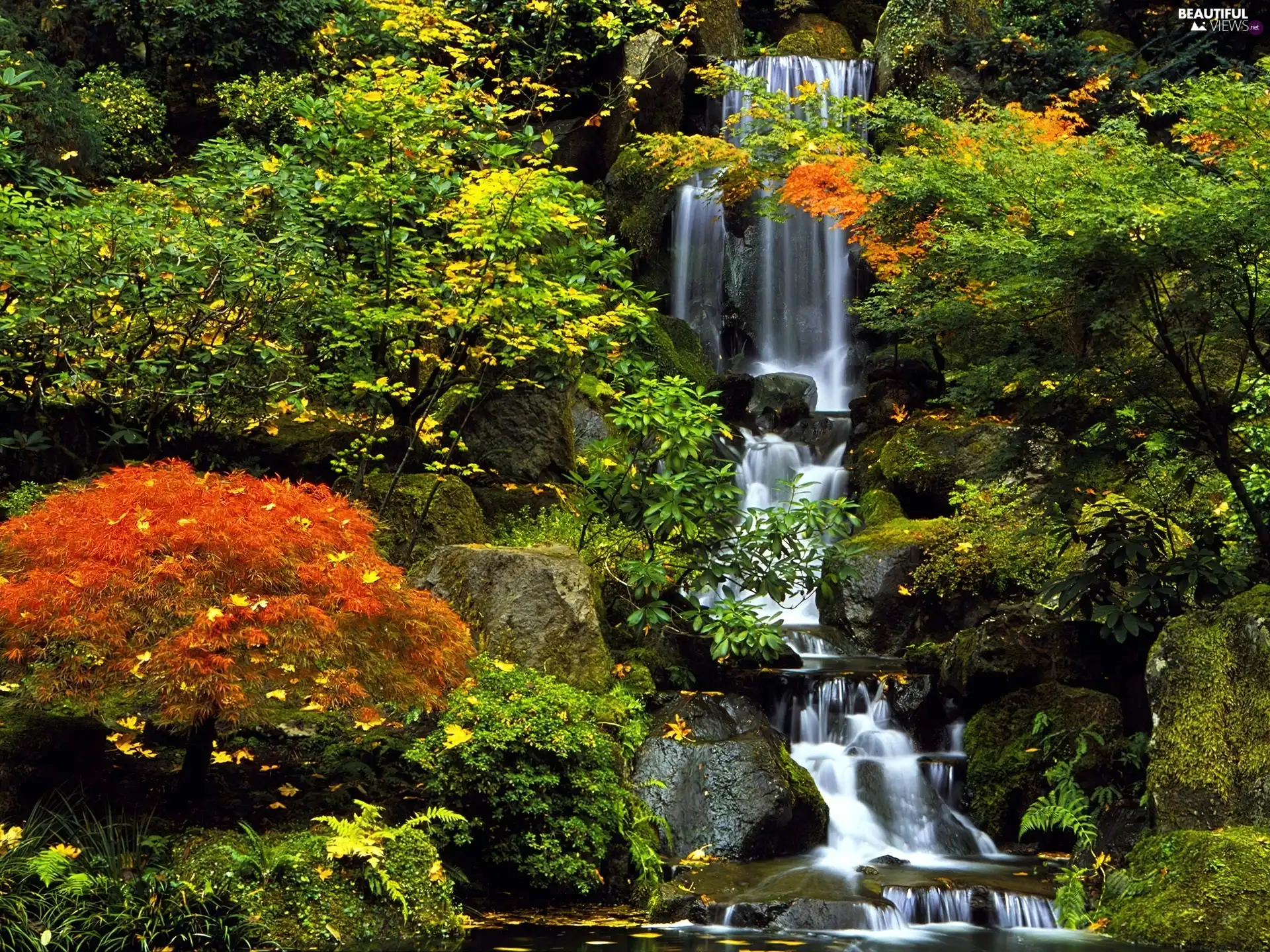 autumn, waterfall, forest