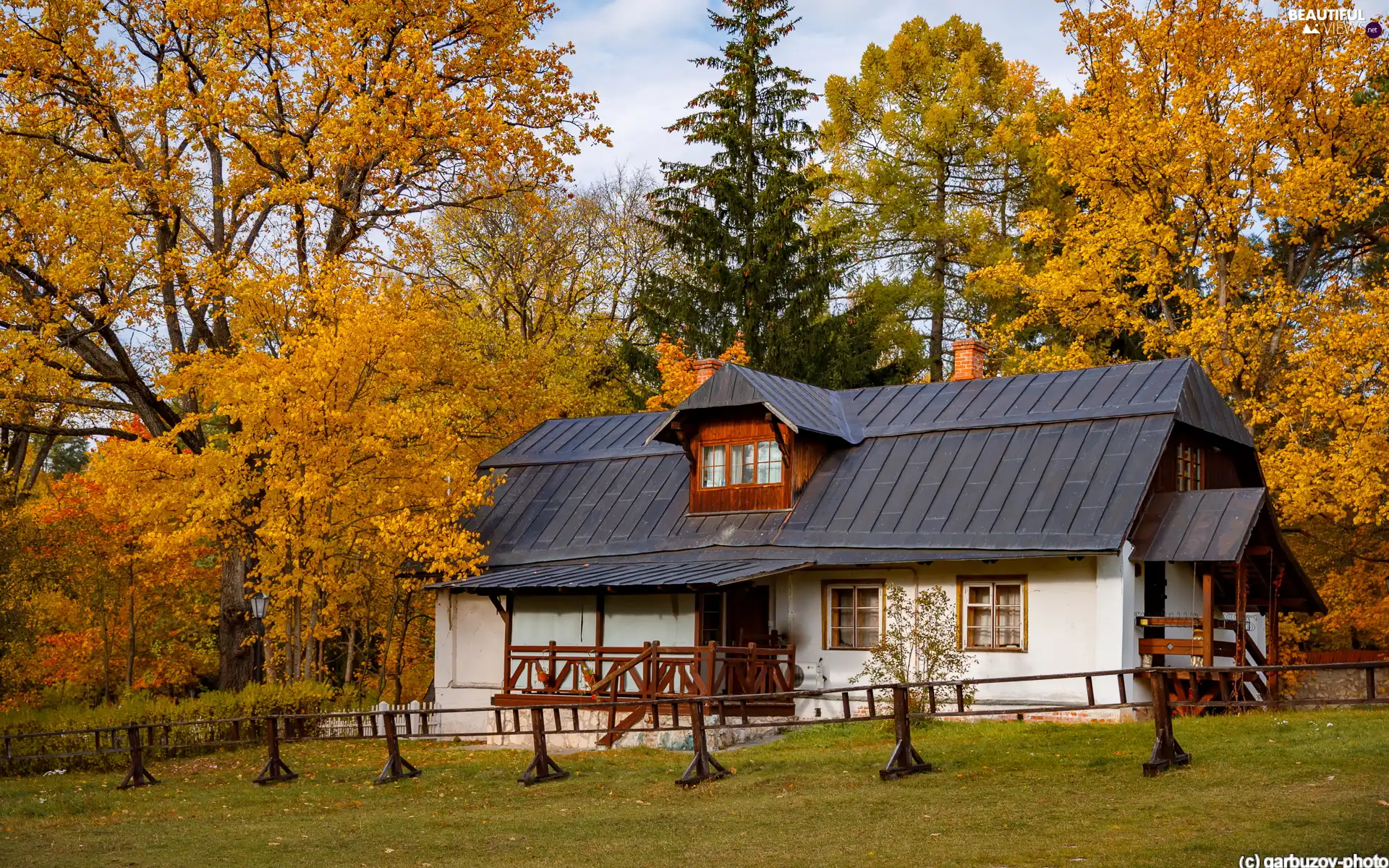 viewes, autumn, Home, trees, country