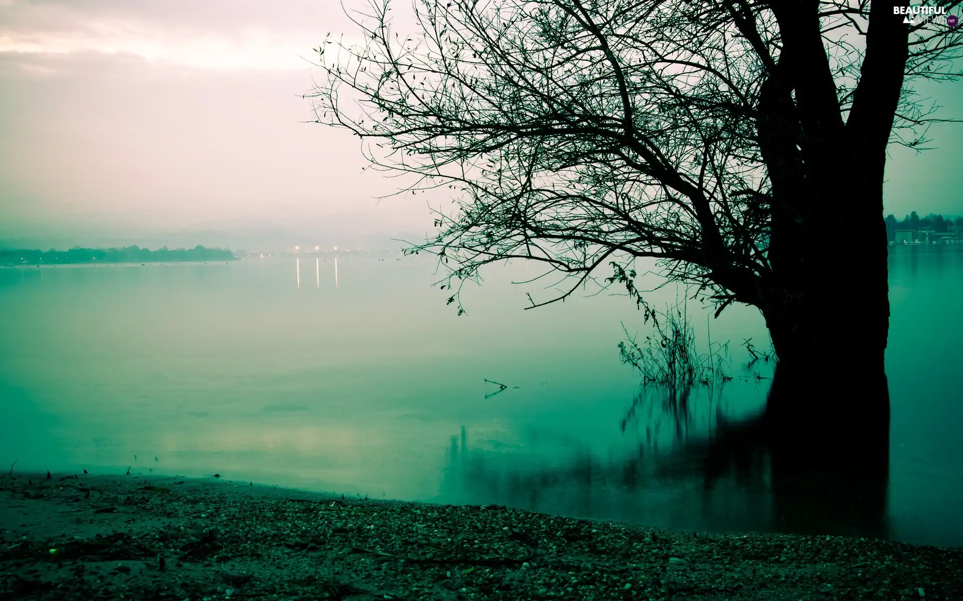 lake, Dusk, autumn, trees