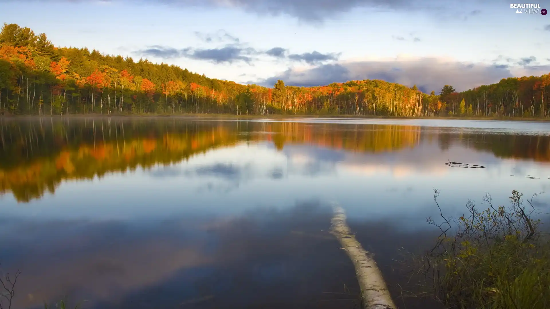 lake, viewes, autumn, trees