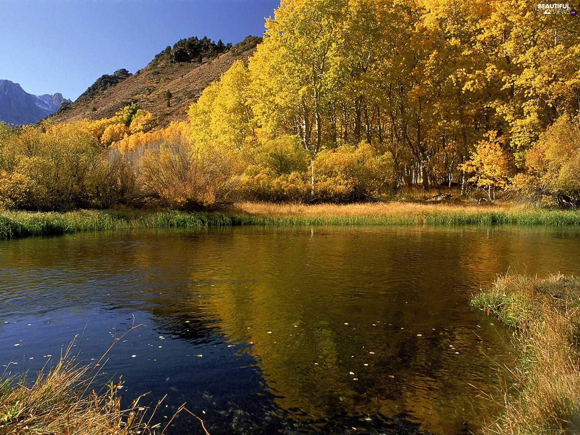 lake, viewes, autumn, trees