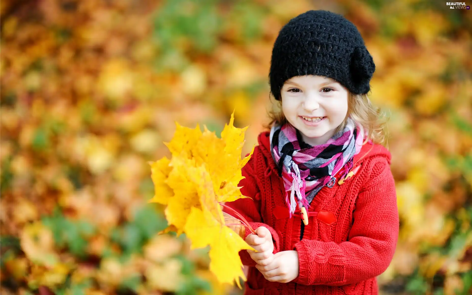 autumn, girl, Leaf