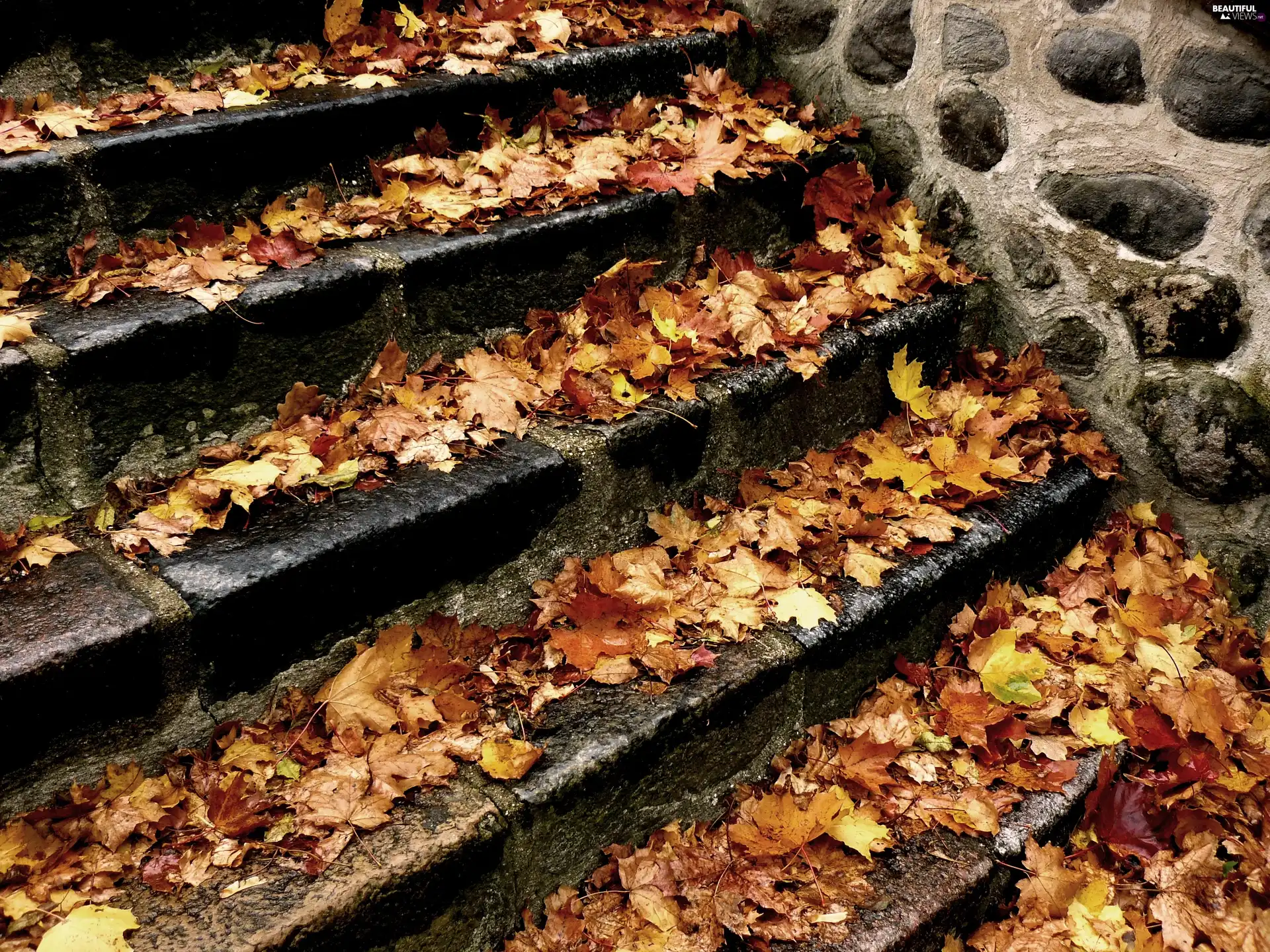 autumn, Stairs, Leaf
