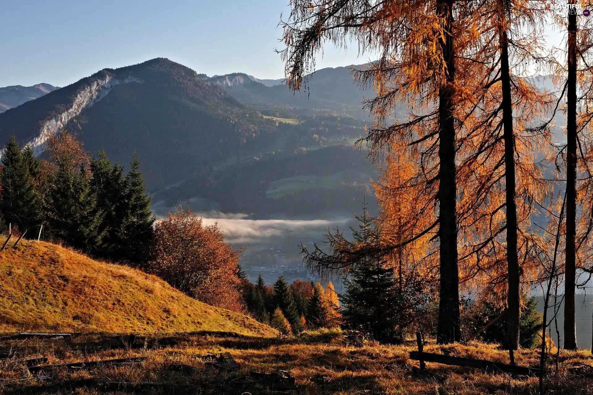 Mountains, Fog, autumn, woods