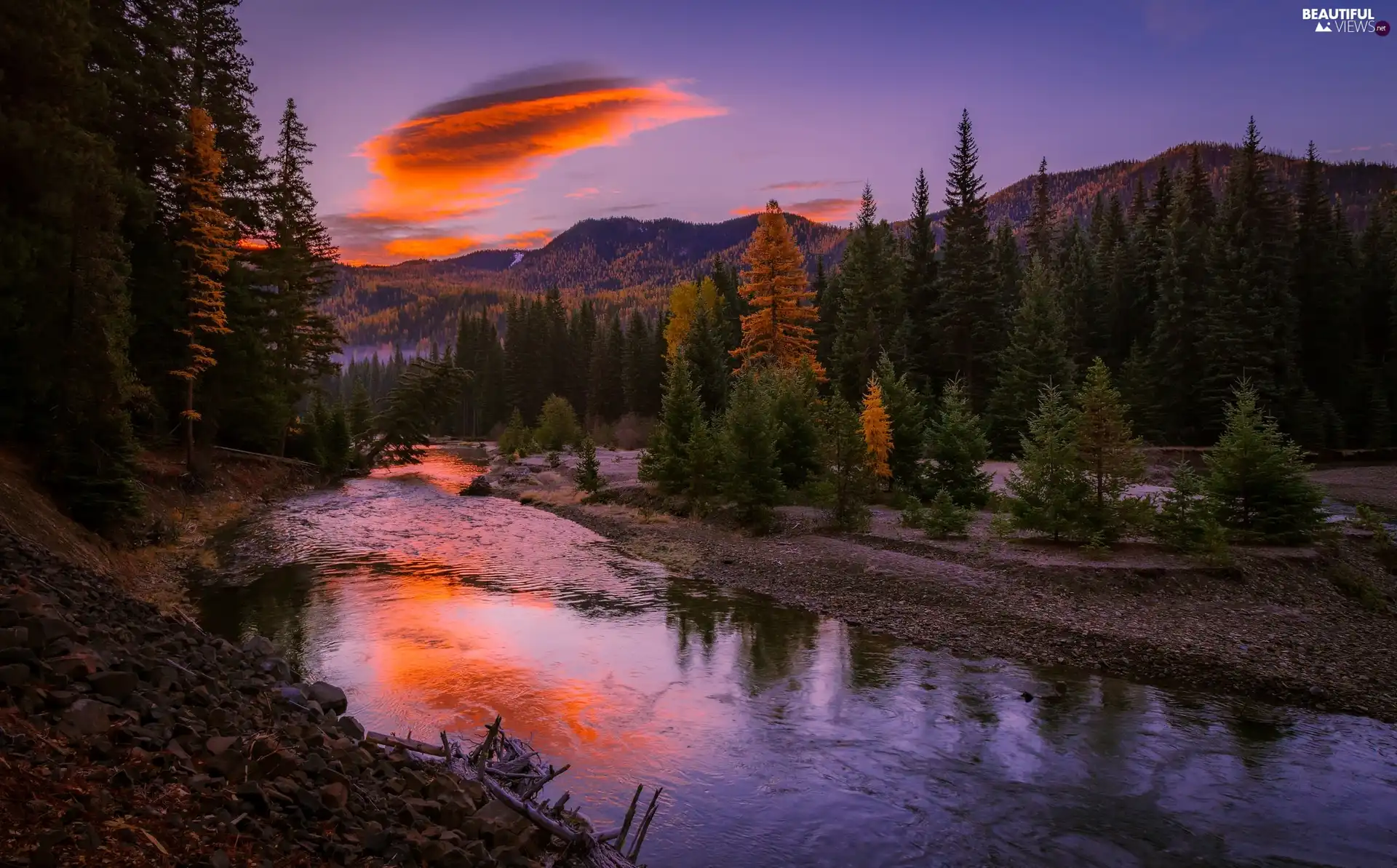 trees, River, forest, autumn, viewes, Mountains