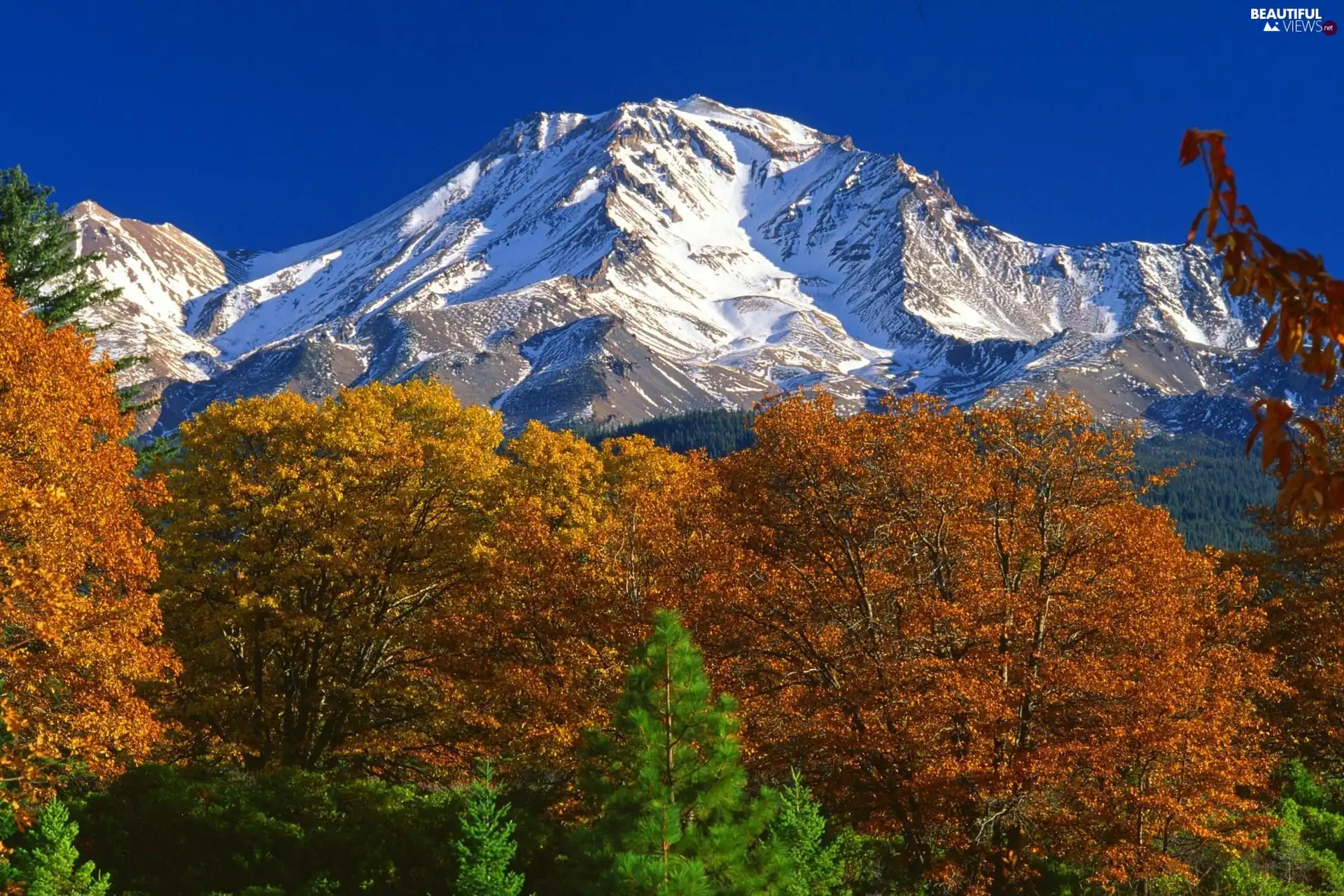 autumn, forest, mountains