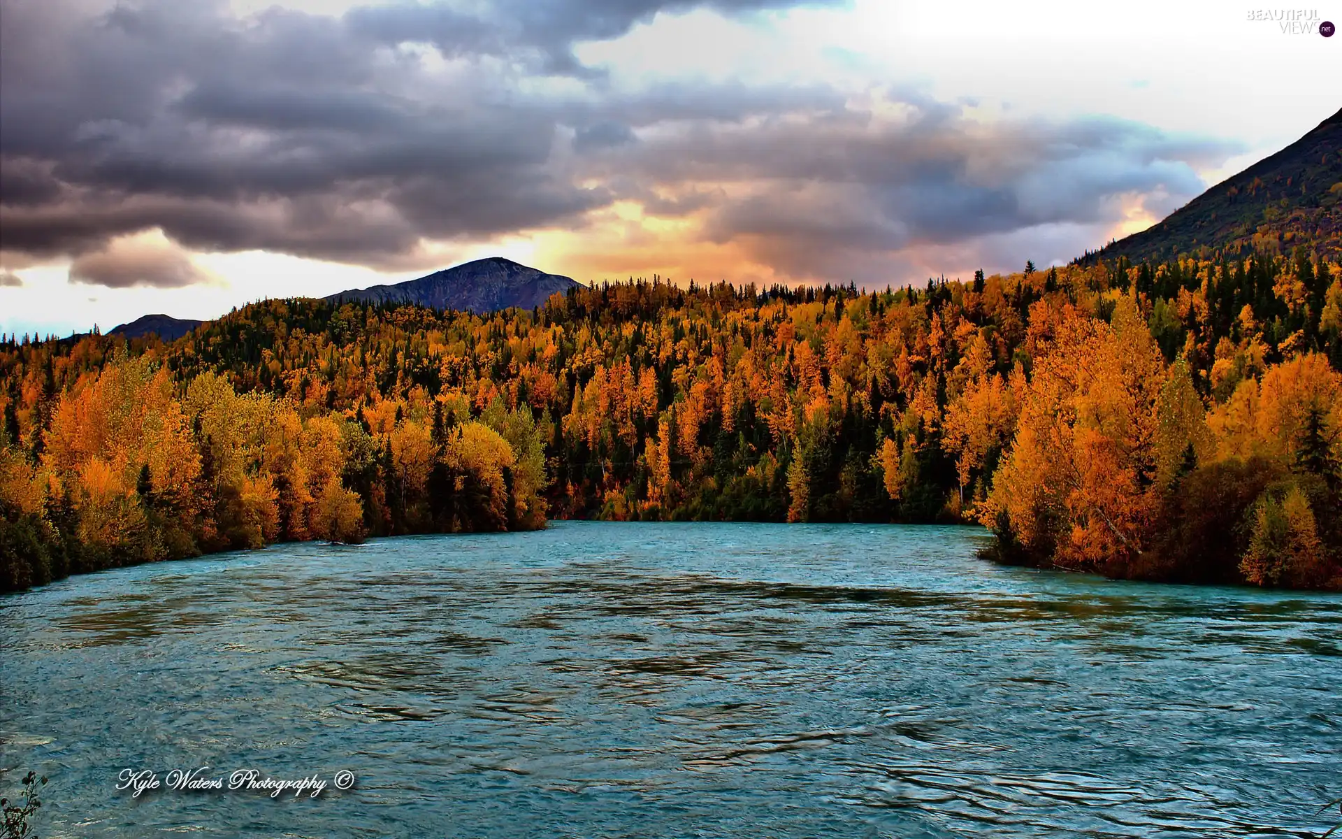 Mountains, River, autumn, forest
