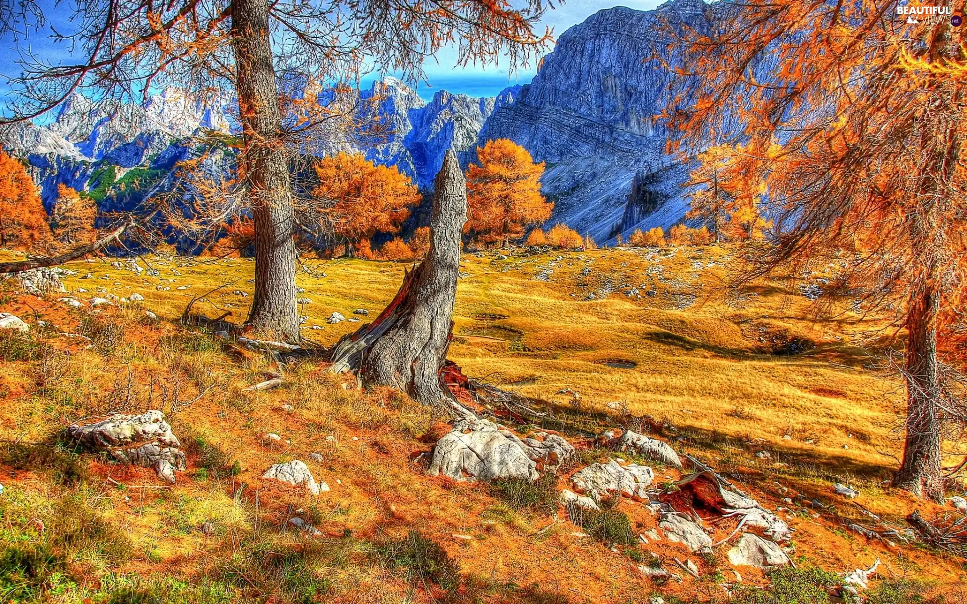 Mountains, viewes, autumn, trees