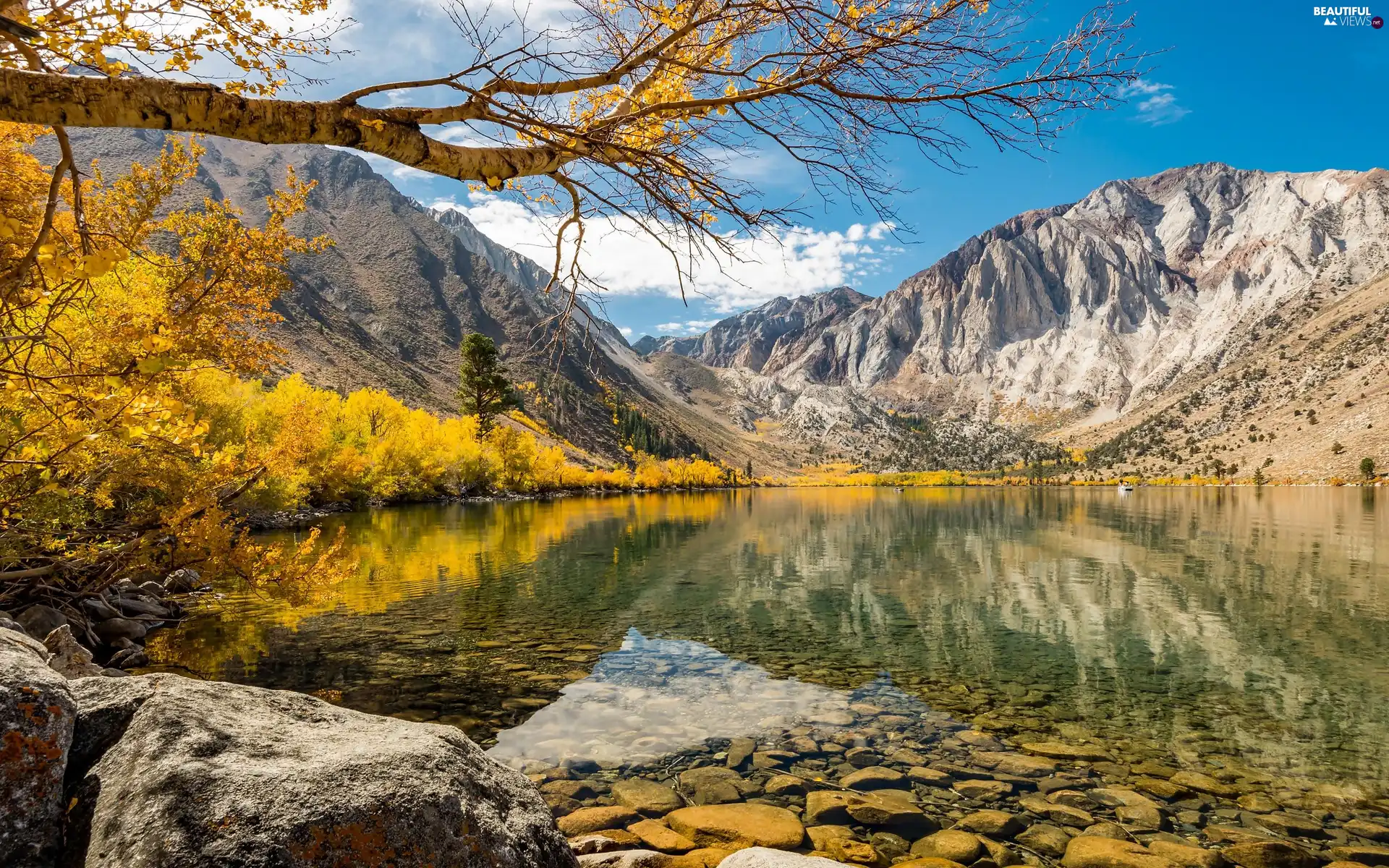 Yellowed, lake, viewes, autumn, trees, Mountains