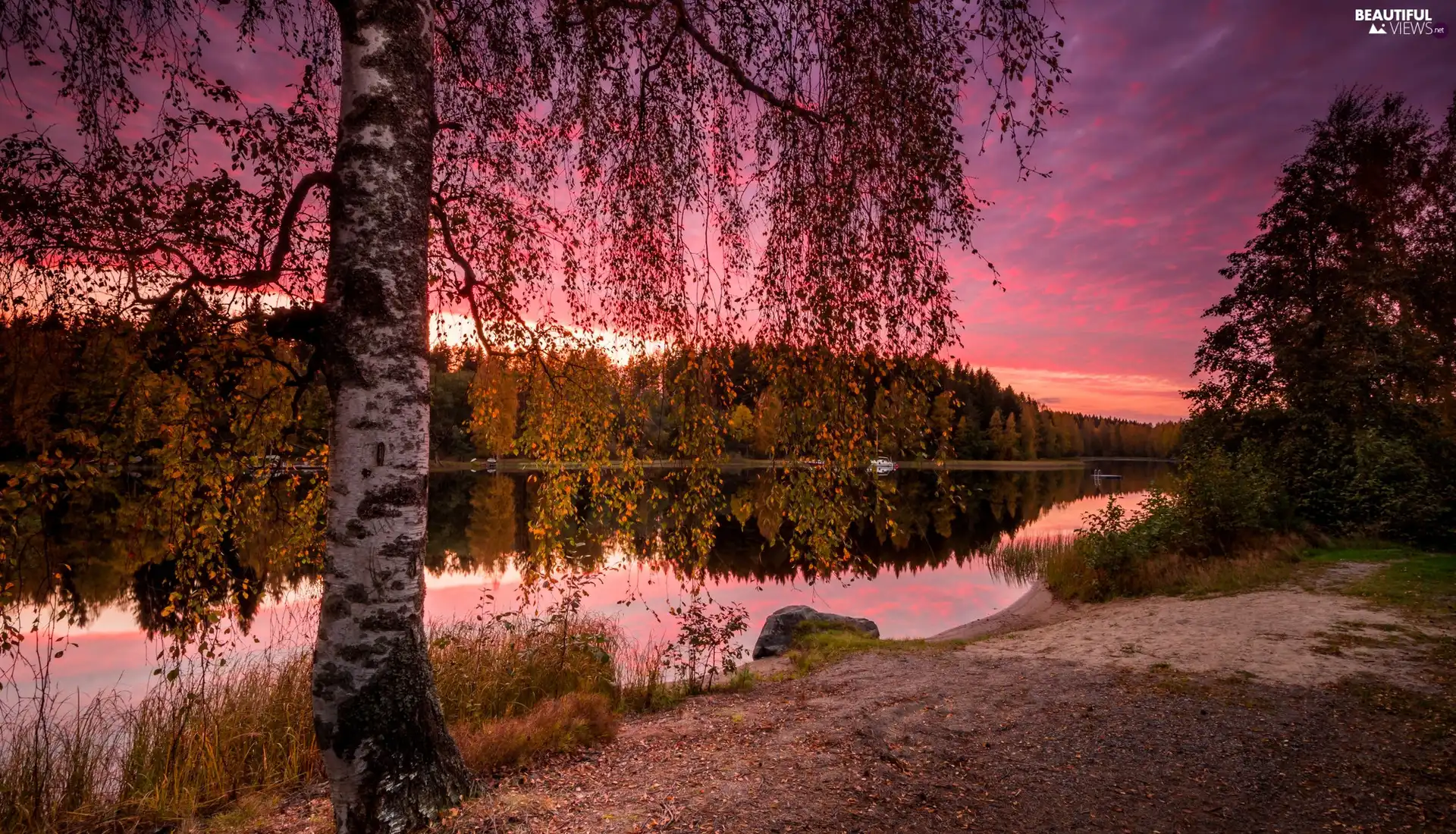 Province of Western Finland, Finland, Pirkanmaa Region, Näsijärvi Lake, birch-tree, clouds, trees, viewes, autumn