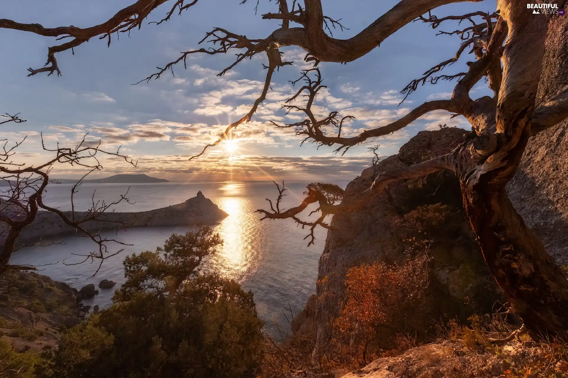 trees, rays of the Sun, sea, rocks, autumn