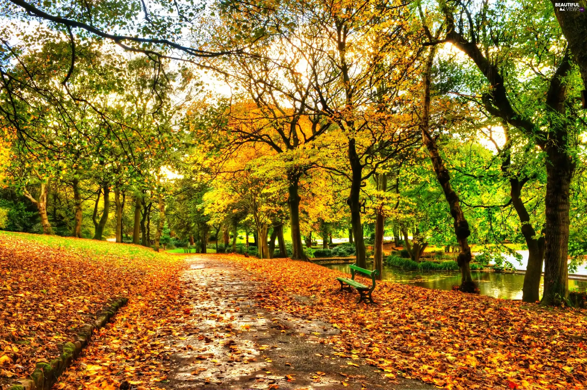 Park, River, autumn, Bench