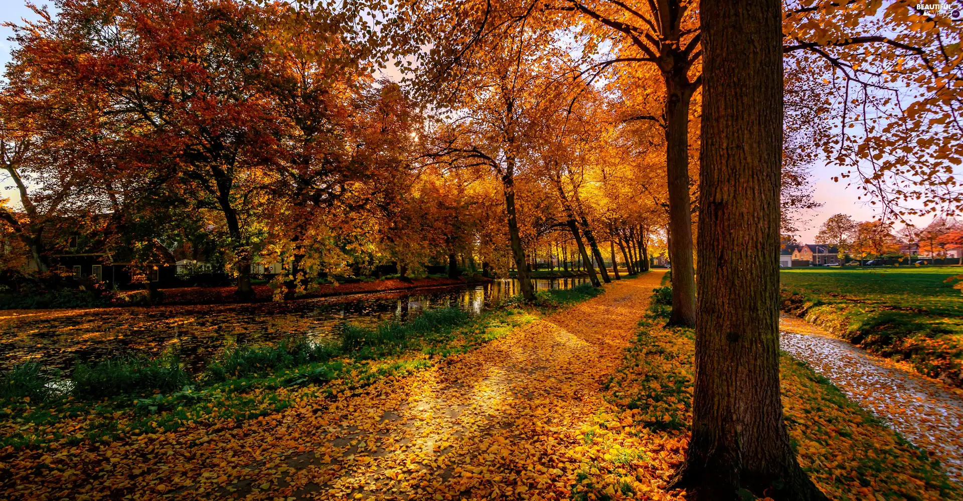 Autumn. Park