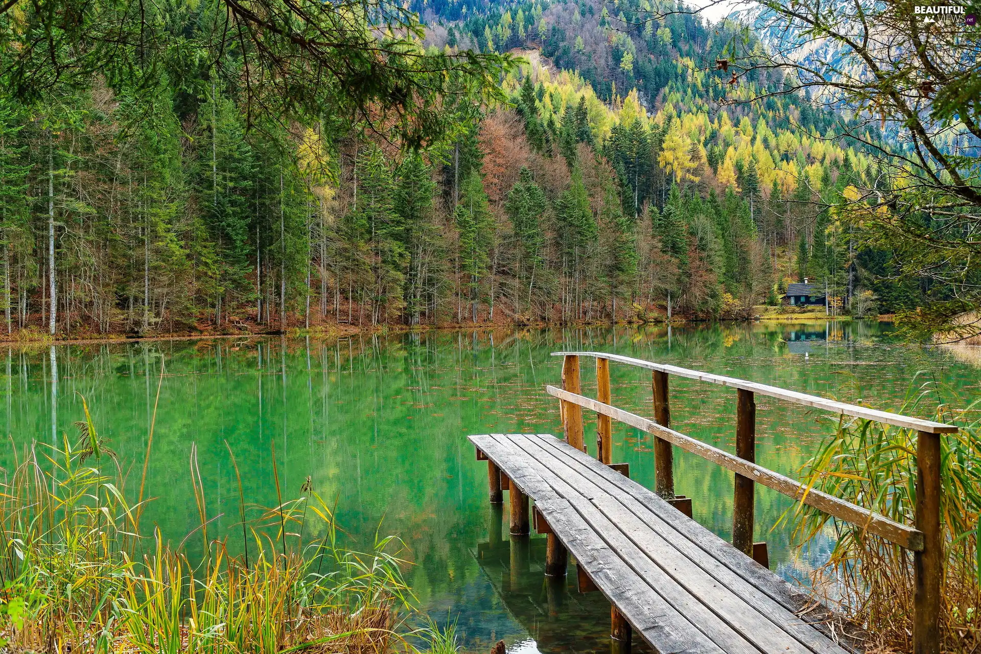 house, autumn, Platform, woods, lake